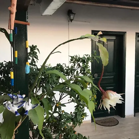 Eros 2* Benitses (Corfu)